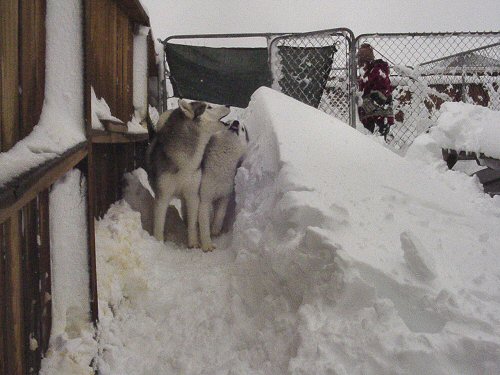 Blizzard of 2006